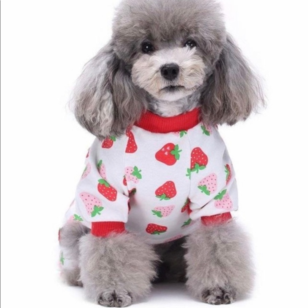 PET FASHION - Picture 2 of 6